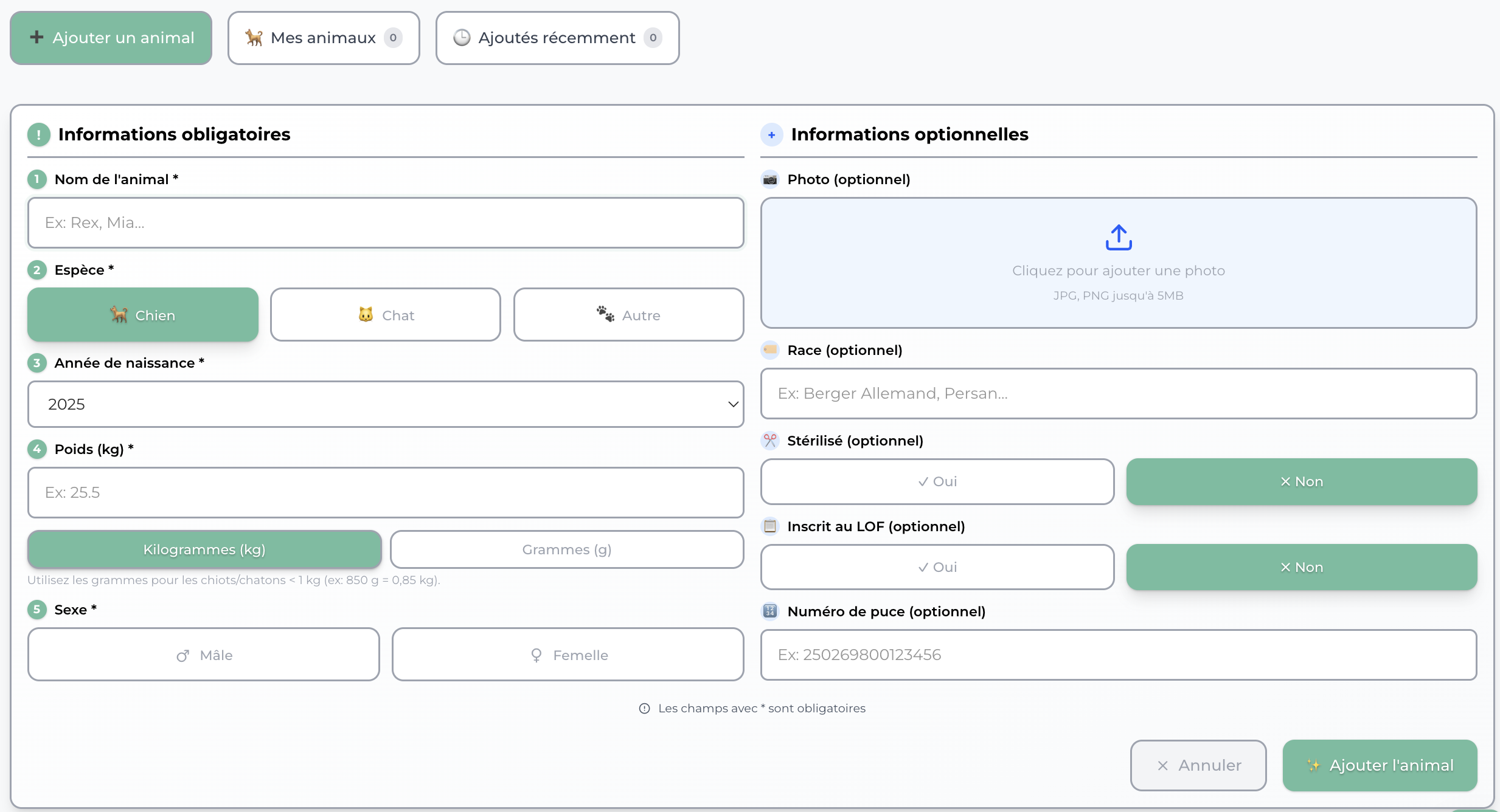Étape 3: Ajoutez votre compagnon